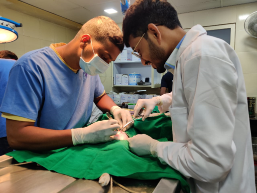 P G Student Performing SPAYING CASTRATION AT   IN DEFENSE OF ANIMAL